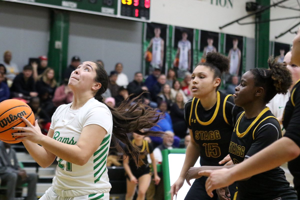 NextLevel_Photos tweet media