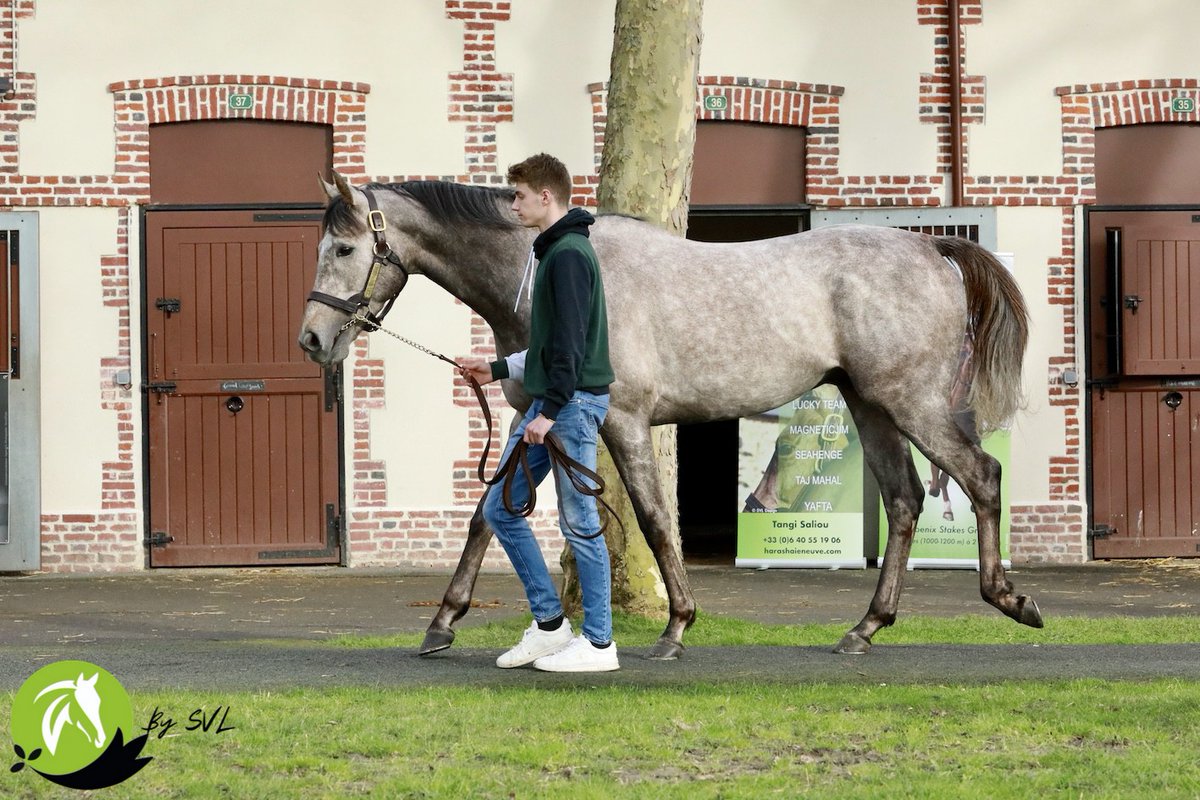 haieneuve's tweet photo. #EbroRiver & #RubisVendome at @fgdeauville yesterday
📷 @svl_design https://t.co/l6xmFoiJJq