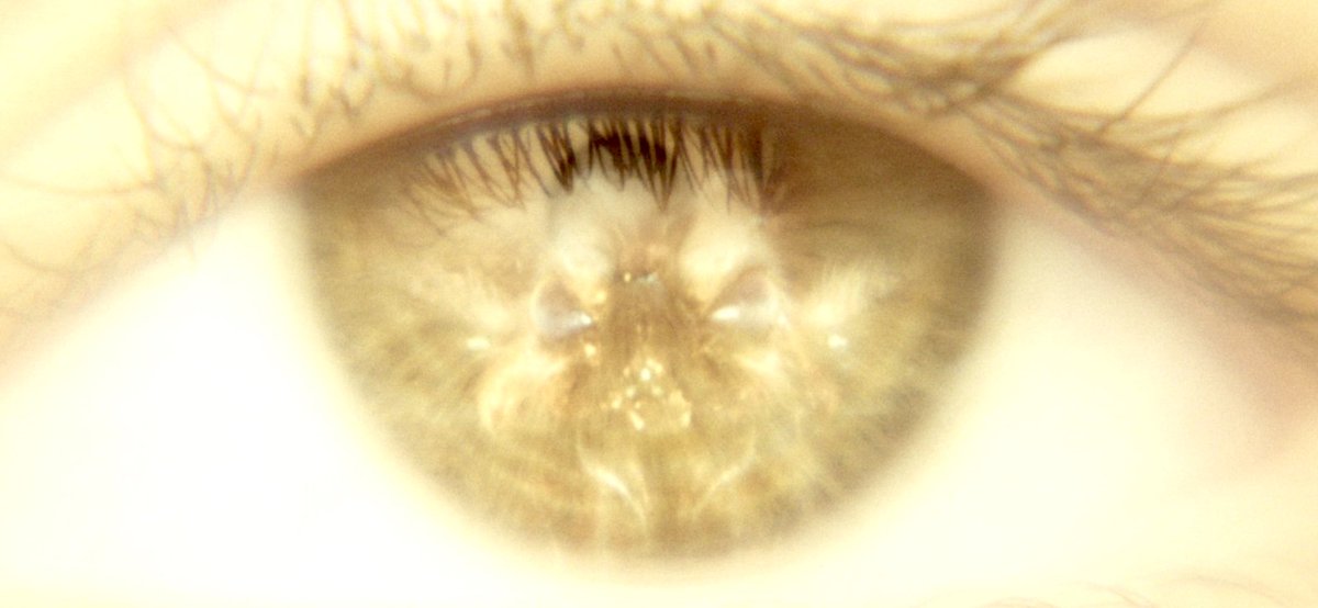 What can you see?