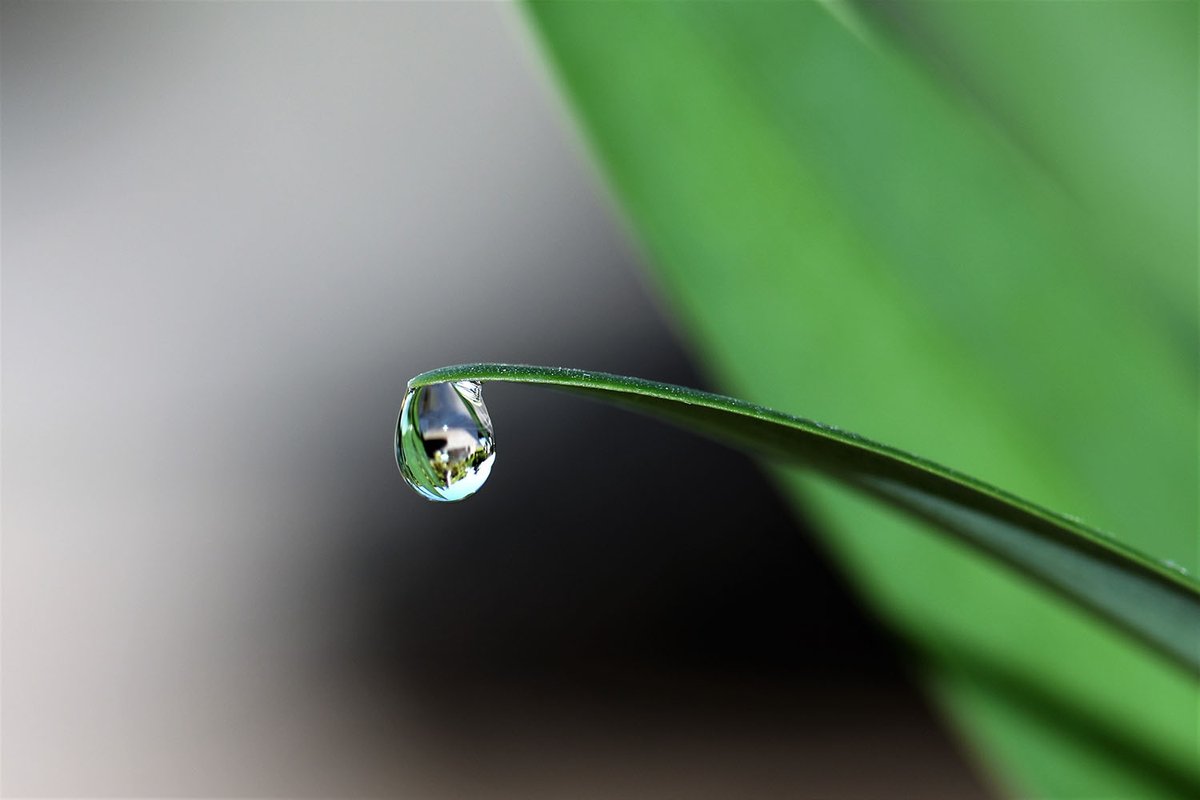DirectorsTalk's tweet photo. Quadrise signs Project Development Agreement with BTG Bioliquids and Euthenia

Read More: https://t.co/KuAhfSn307

#QED #RNS #Stocks #Quadrise #MSAR #bioMSAR #Biofuels #RenewableFuels #Shipping #MarineFuel #CleanEnergy #EnergyTransition #Decarbonisation #NetZero #Investing https://t.co/myWIjx46nB