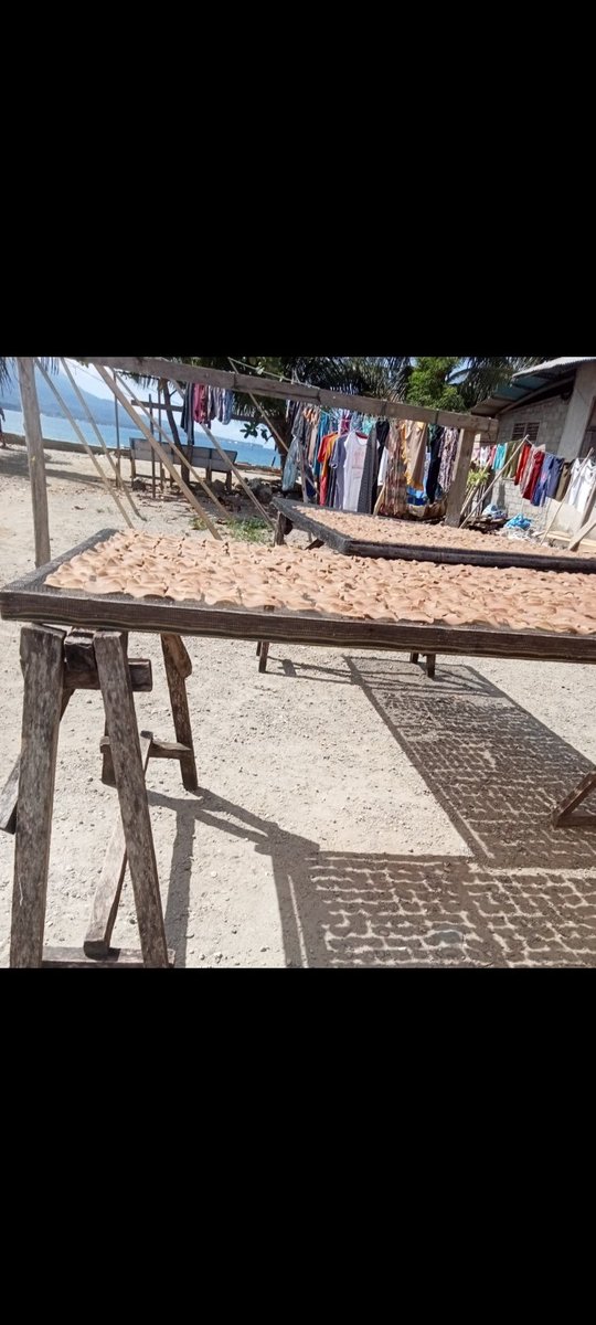 Halmia_Larijana's tweet photo. Kamis (15-02-2024) Halmia Larijana Luhkan Kab.Halmahera Selatan diPoklahsar Mamborosa Mandiri Desa Amasing Kota Barat Melaporkan Produksi Olahan Kerupuk ikan Bulan Februari 2024 Sebanyak 10kg harga jual 140.000/kg
#GiatLuhkanSatmingkalAmbon
#Luhlapor
#Halsel https://t.co/YTkqomoPNH