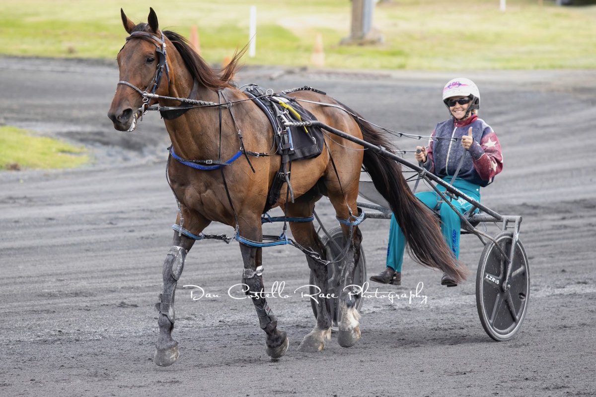 Dan Costello tweet media