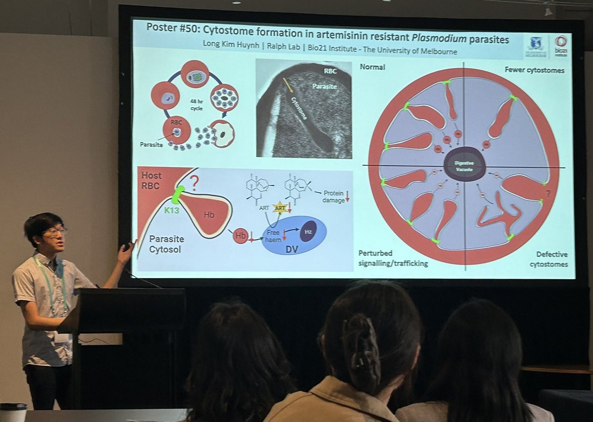 Nice talk from <a href="/lkhuynh_/">Long Huynh</a> on the Plasmodium cytostome and drug resistance at <a href="/The_VIIN/">VIIN</a> #Lorneiandi conference. Not as good as the talks in the innate immunity session of course 🏄‍♂️ but quite good nonetheless