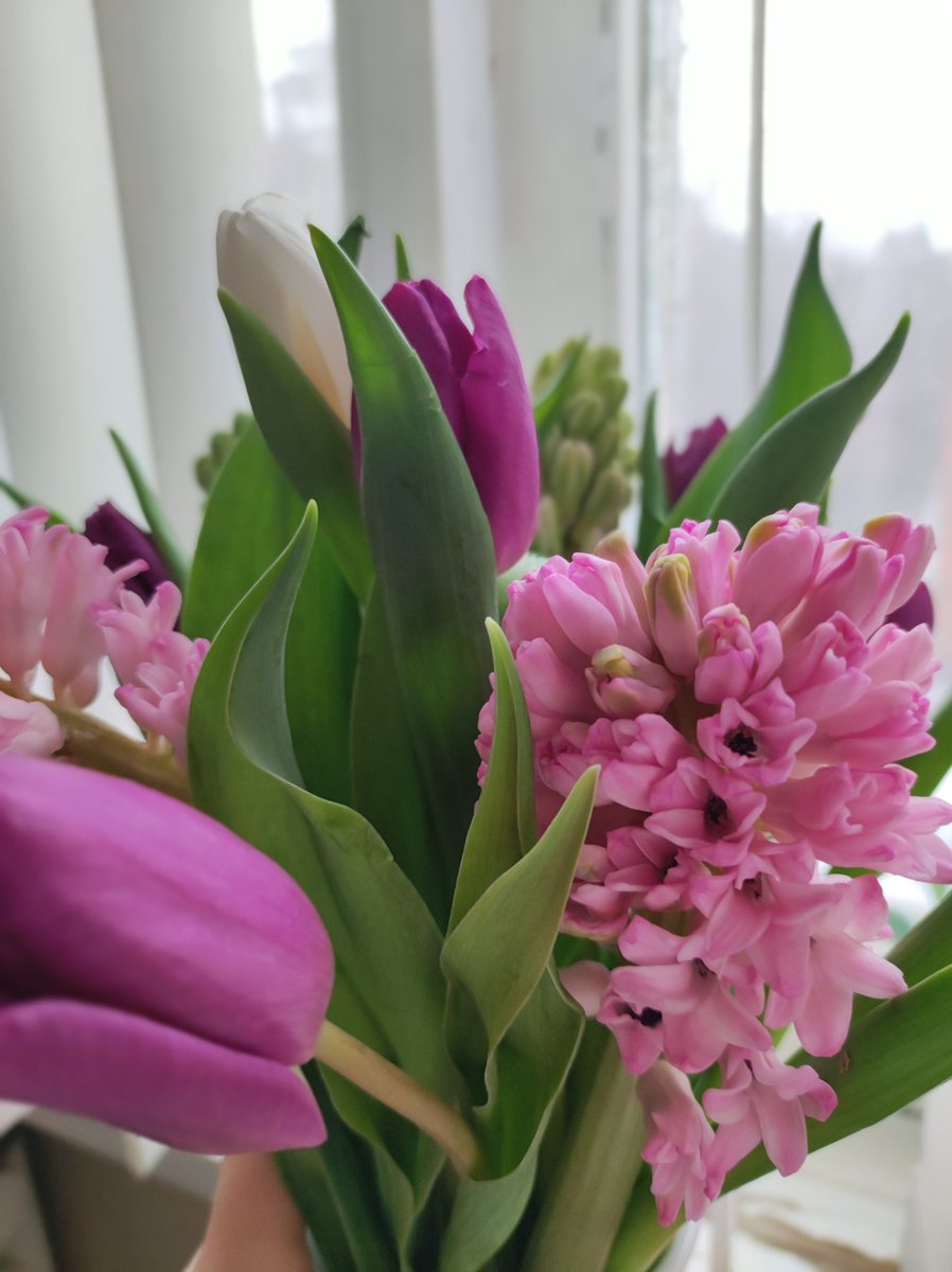 Šodien Rimi puķes pakaļ met.