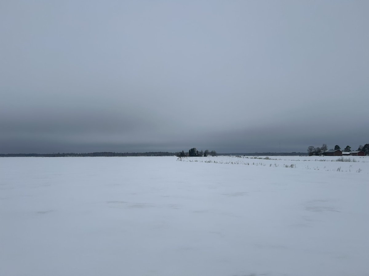 TimoTossavainen's tweet photo. Rupeappa tässä mäkihyppääjäksi 🙄

Pohjanmaalainen mäkihyppääjä ja muita mahdottomuuksia -nimistä novellikokoelmaa aikoinaan kaavailin ja se tuli mieleen maisemaa katsellessa, kun palaan Vaasasta Helsinkiin.

#Lakeus #Pohjanmaa #Maisema https://t.co/ee3b5H62UI