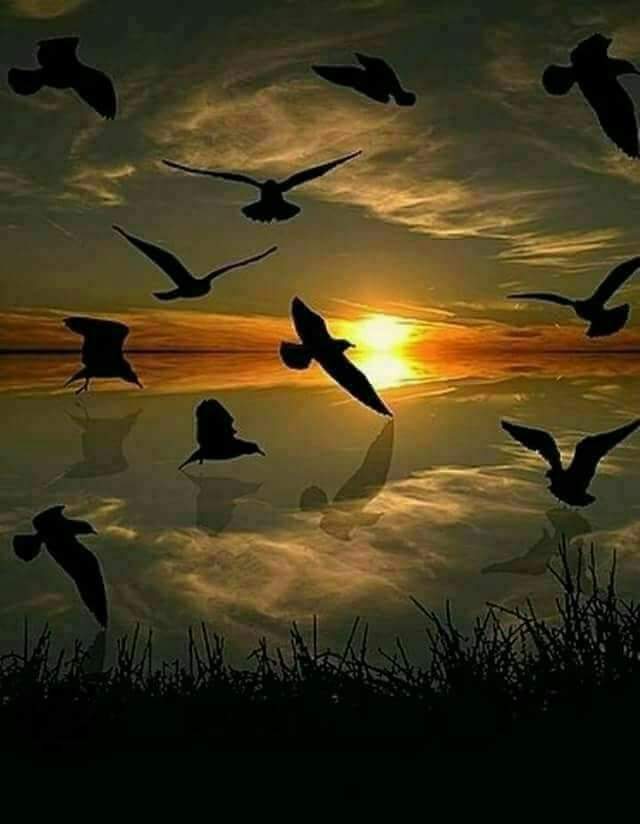 kokee73's tweet image. اب نہیں مانگنی ،،خیرات مُحبت تُجھ سے 
جا تیری خیر  ہو - ہم نے تیرا در چھوڑ دیا