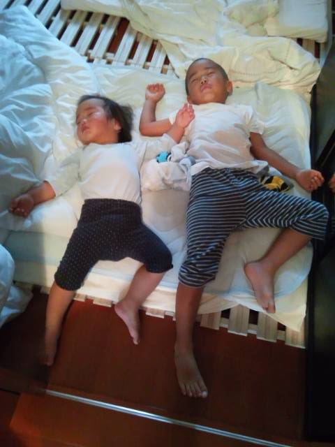 robertdeneko's tweet image. 角度まで絶妙にシンクロ
#寝相
#シンクロ
#シンクロ寝相