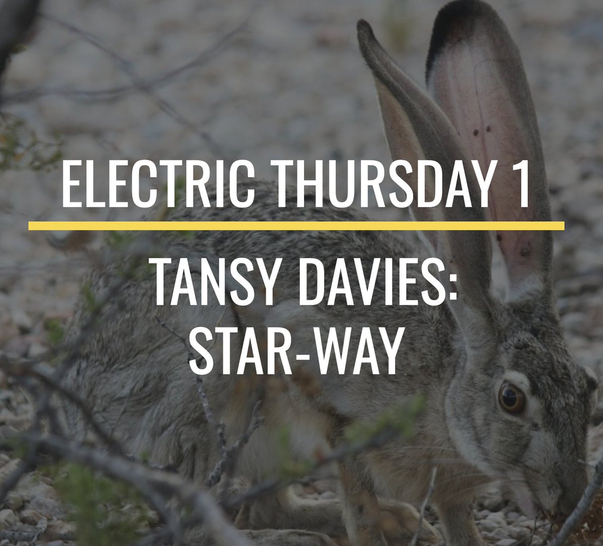 mcs42's tweet photo. 🎧🎶🎧#55daysoflistening🎧🎶🎧
It's #electricthursday! A mini-series of non-acoustic pieces to give you something to look forward to in the second half of each week. To kick off, @tansydavies gorgeous Star-Way from @ZubinKanga's @cyborgsoloists project. https://t.co/jvldH7oNsb https://t.co/XmEFRkLvaD