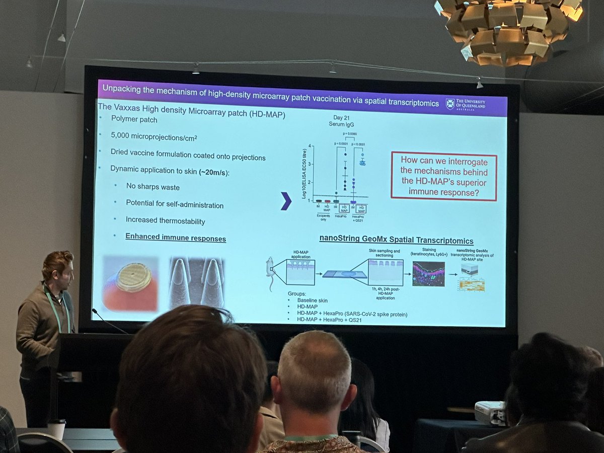 Our very own <a href="/ChrisLDMcMillan/">Chris McMillan</a> presenting at #lorneiandi about patch vaccination and spatial transcriptomics! <a href="/The_VIIN/">VIIN</a>