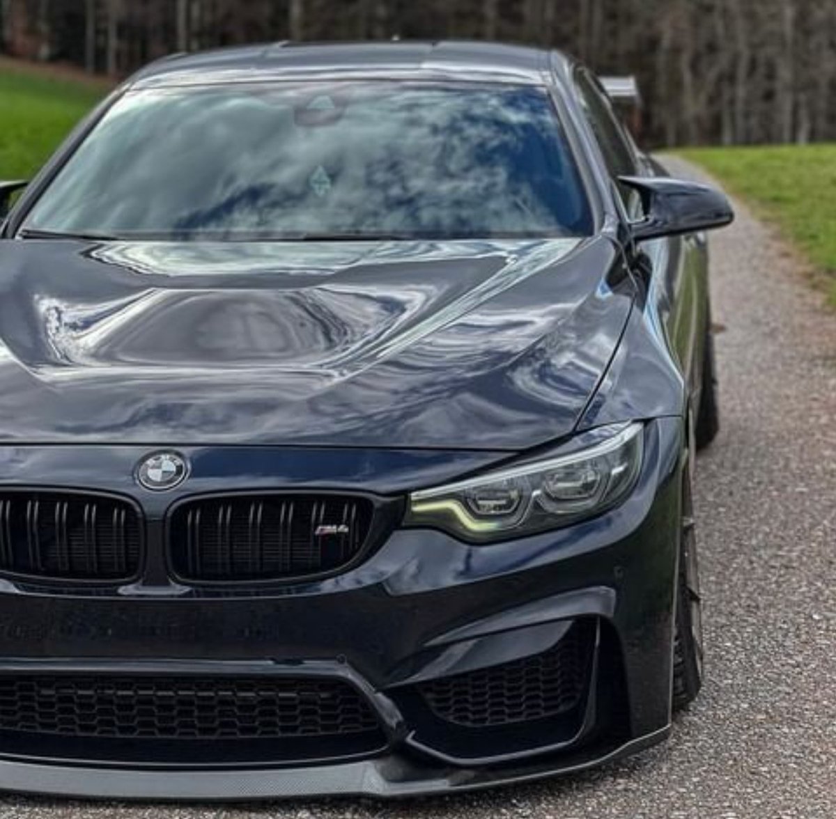 M-POWER (@loganbbh89) on Twitter photo 
