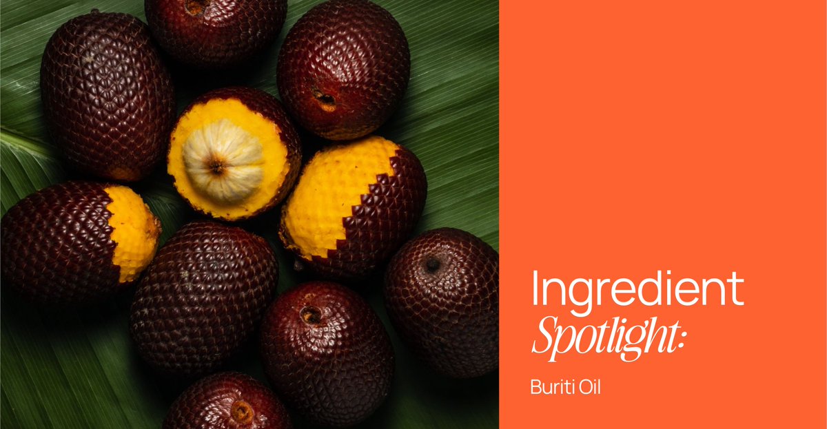 organicthesis's tweet photo. Introducing the star ingredient of our beloved Cleanse Me cleanser — the extraordinary Buriti Oil. Hailed as the "Tree of Life's" gift, buriti oil is a powerhouse of nutrients, antioxidants, and essential fatty acids, making it a superhero for your skin. 🌟 https://t.co/njyMo8x3vm