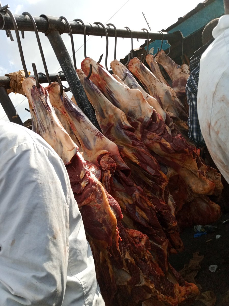 Ask1 Meat Chamber🍖🥩 tweet media