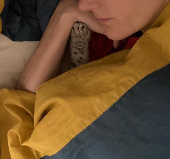 Maria Callís tweet media