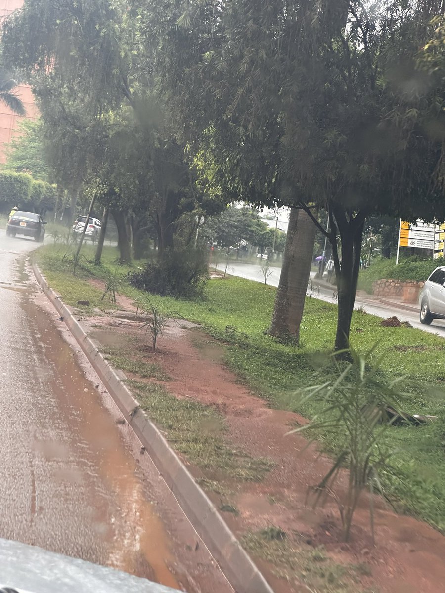 Nampwera Ambrose tweet media