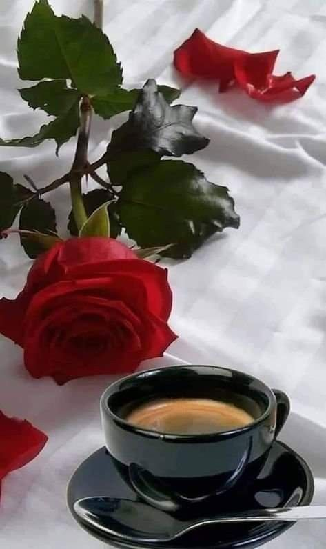 BeachRelax's tweet photo. Vista tutta sta discriminazione in base al sesso e allo status che poi per tutti si potrebbe rivelare momentaneo diamo inizio alla #SingleClub
#UnBuongiornoPerISingle A tutti i Single di Twitter o d X che dir si voglia. 😁 https://t.co/fhmj6owDrv