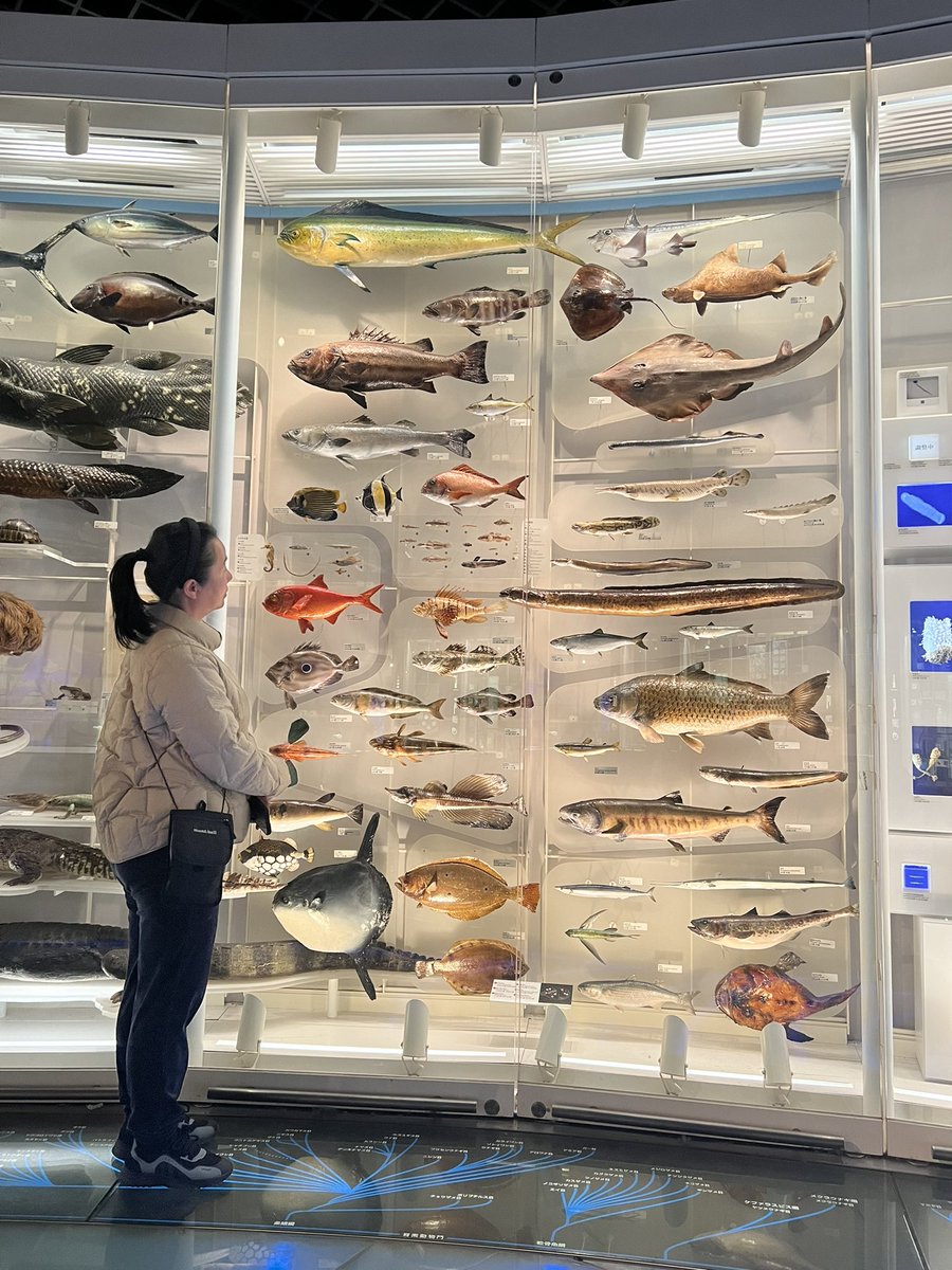 在地球馆，我妈要求我给她和标本拍一l张照片，理由说是：年年有鱼…