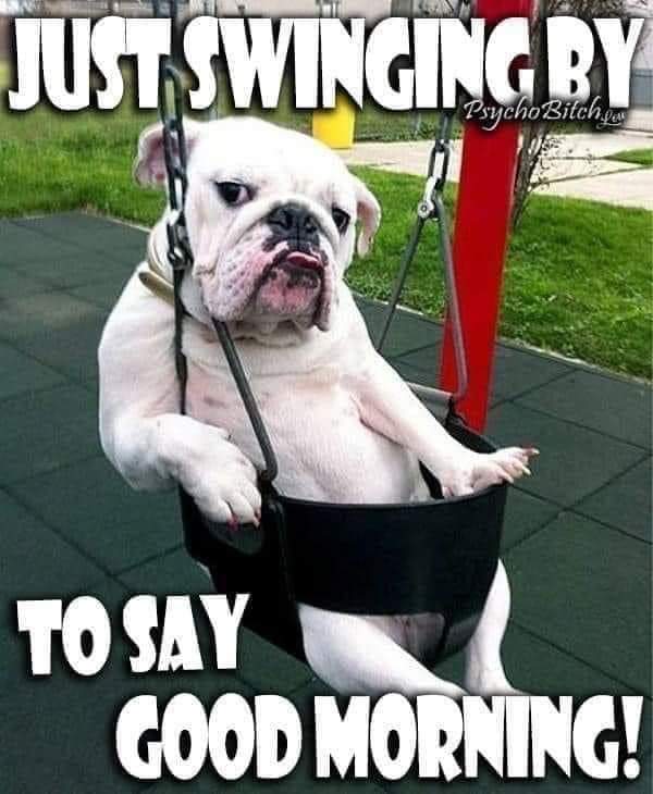 Manuel10026476's tweet photo. Have a swinging day the sky is the limit 👋👋 Be safe 👍👍😁😁😁 https://t.co/zUhijBLCW5
