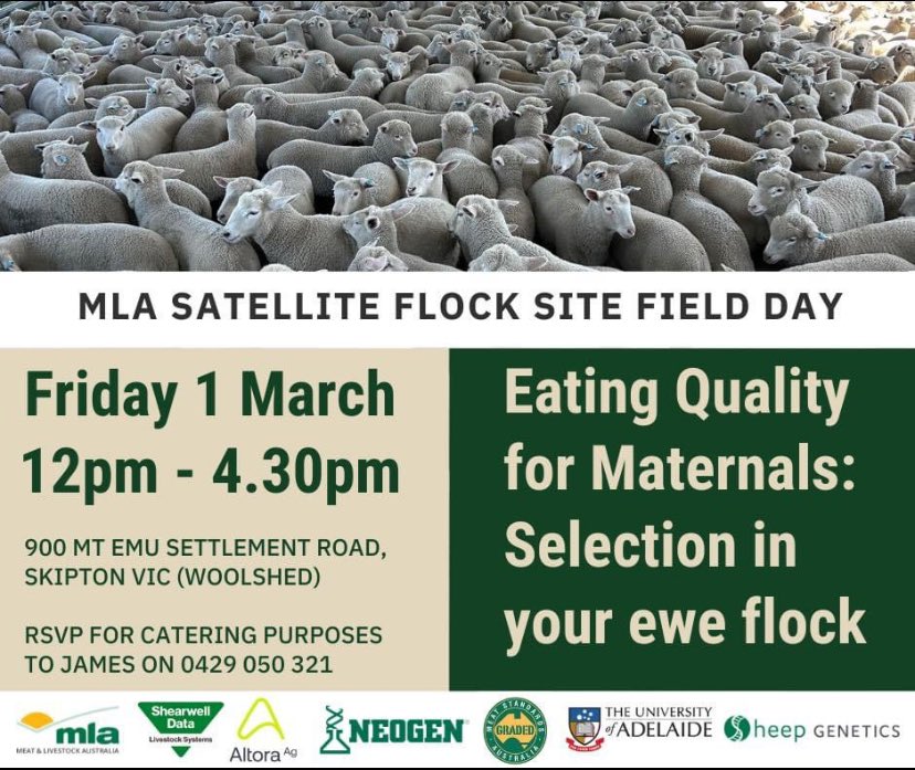 Wayne Pitchford tweet media