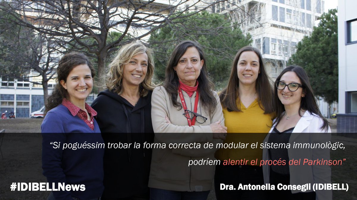 IDIBELL (@idibell_cat) on Twitter photo Identifiquen un fàrmac modulador del sistema immune potencialment útil per bloquejar la malaltia del <a href="/Parkinson/">João Carlos Castro</a>
➡️ Més info: idibell.cat/2024/02/identi…
Per <a href="/ConsiglioLab/">Antonella Consiglio</a> a <a href="/JCI_insight/">JCI insight</a> Identifiquen un fàrmac modulador del sistema immune potencialment útil per bloquejar la malaltia del <a href="/Parkinson/">João Carlos Castro</a>
➡️ Més info: idibell.cat/2024/02/identi…
Per <a href="/ConsiglioLab/">Antonella Consiglio</a> a <a href="/JCI_insight/">JCI insight</a>