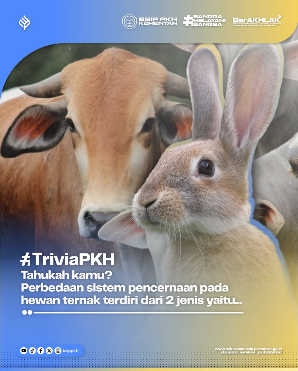 brmppkh's tweet photo. Hai SobaTani!
Tahukah kamu, ternyata ternak memiliki 2 macam sistem pencernaan, seperti apa itu dan ternak apa saja itu?
Kita simak yuk pada #TriviaPKH kali ini.
#bsippkh
#kementan
#peternakan https://t.co/whHsAUJnNh