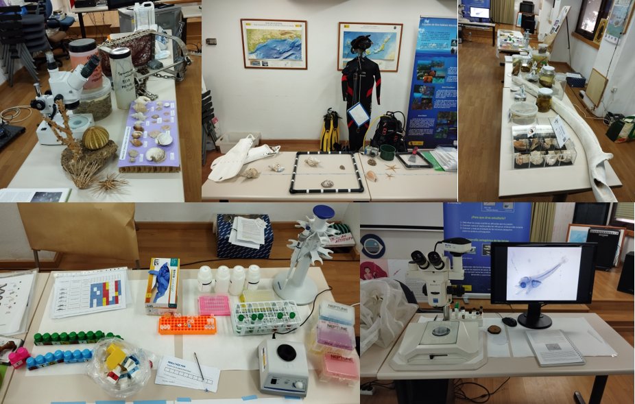 Todo preparado para las jornadas de puertas abiertas en el <a href="/IEO_Malaga/">IEO Málaga 🌊⛴️🐟🌡️🔬</a> por el Día Internacional de la Mujer y la Niña en la Ciencia.
Esperando a nuestras <a href="/Oceanicas_IEO/">Oceánicas</a> y, por supuesto, l@s peques 💪
#11F2024 #DíaMujerYNiñaEnCiencia #IEO #CSIC #MujereEnCiencia
