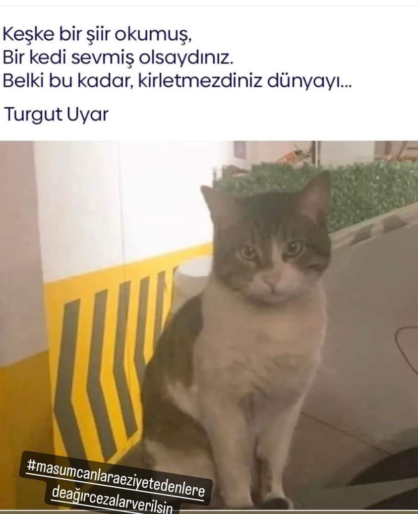 Erdal Gökmen (@skymen59) on Twitter photo 