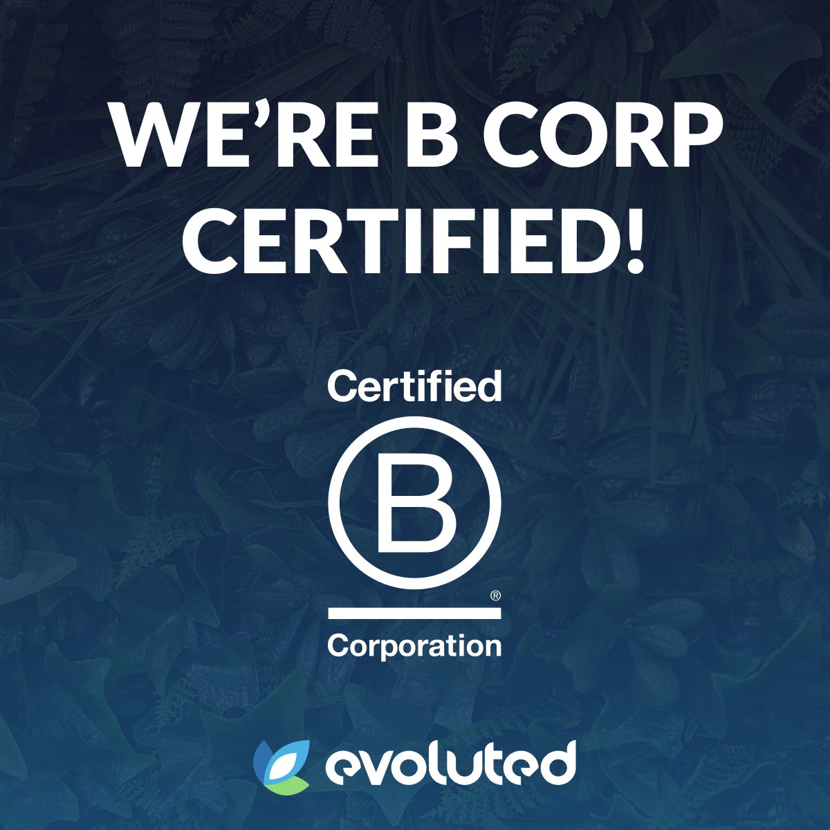 Rebeca Radford tweet media