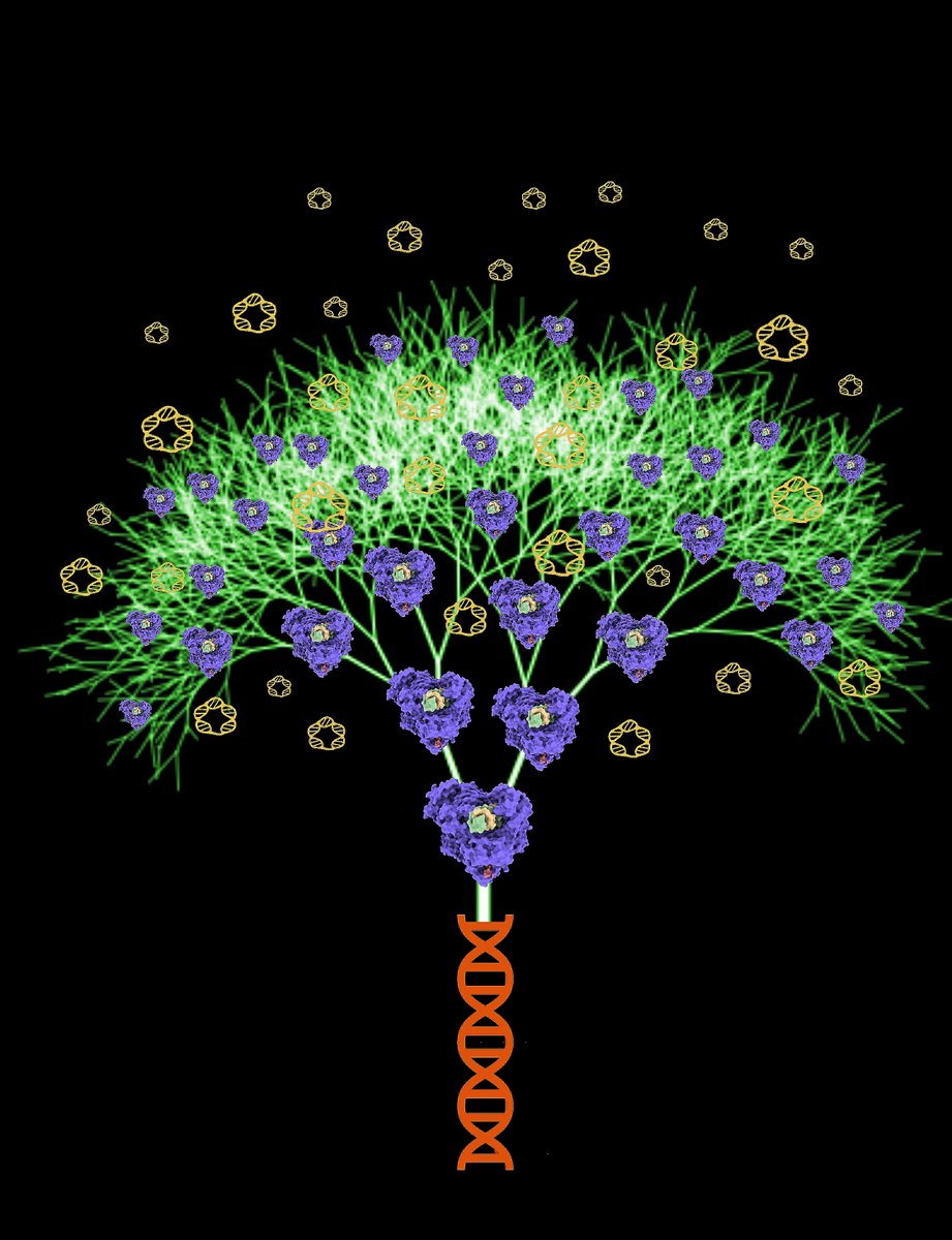 Join our dynamic team in the area of CRISPR molecular analytics! Seeking SEVERAL passionate professionals to drive biosensing innovation. Apply now and shape the future of molecular diagnostics! #CRISPR #biosensing #ScienceJobs

external-careers.jobs.unsw.edu.au/cw/en/job/5228…….
