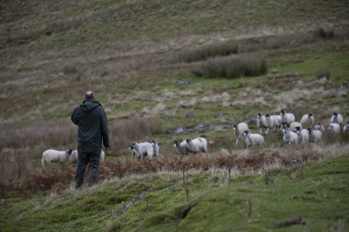 To give farmers and land managers the opportunity to share views on the new Local Nature Recovery Strategy (LNRS) we're working with the National Farmers’ Union to hold events. The first is 19 February 11am to 12.30pm at #Thirsk Auction Mart. Register at northyorks.gov.uk/environment-an…