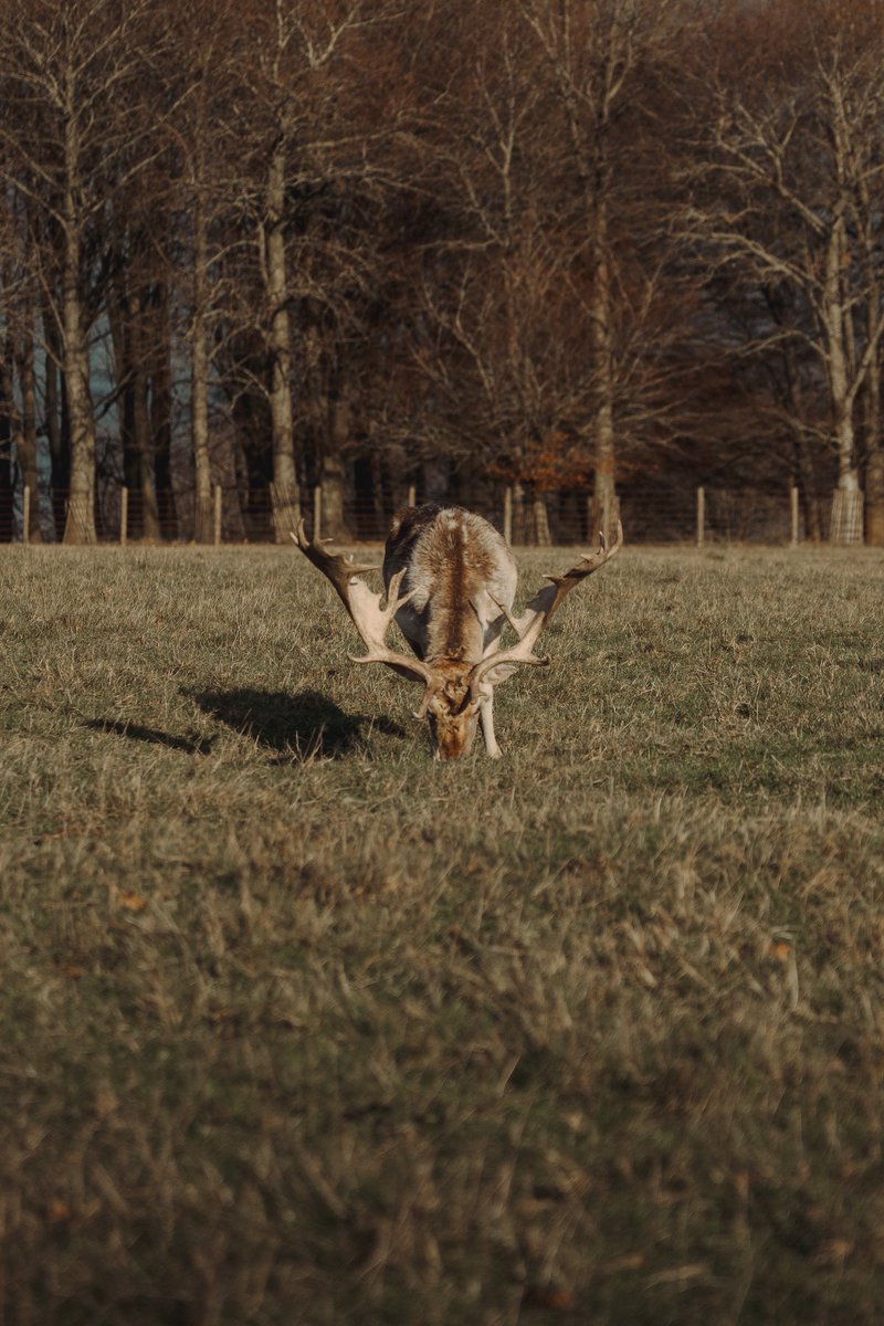 Petworth House, UK