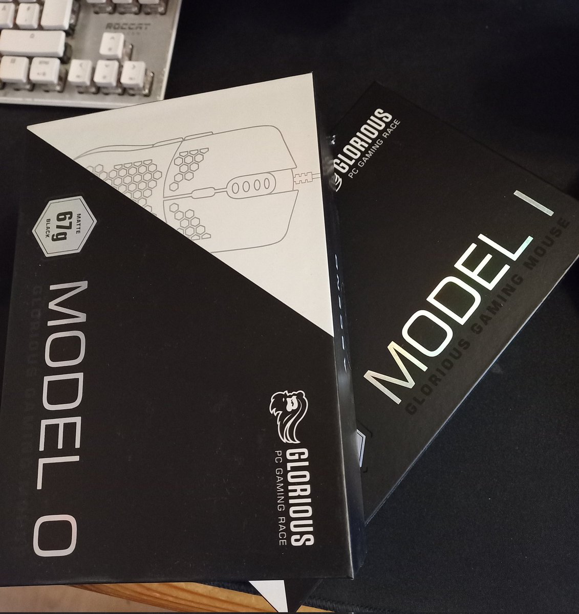 wi wi wi 🐣 tweet media