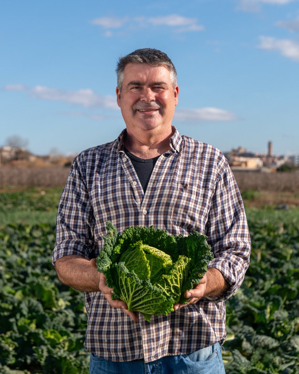 Plusfresc's tweet photo. Dels camps d’aquí al costat, arriben les cols verdes d’en Josep Vilaseca. Més fresques i de proximitat, impossible! 💚
#Plusfresc #elsuperquetestima #Lleida #colverda https://t.co/Q5uzwtgF4I