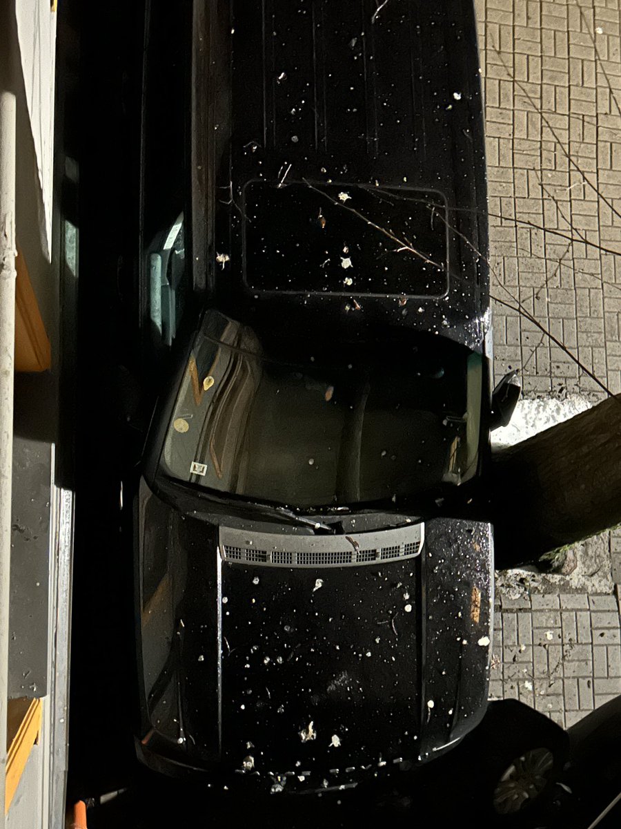 Putniņiem valentindienas vakariņās bijis kāds spicy burito.