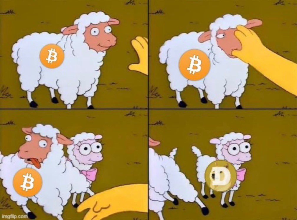 dogeofficialceo's tweet photo. https://t.co/zvt1lcUtvT