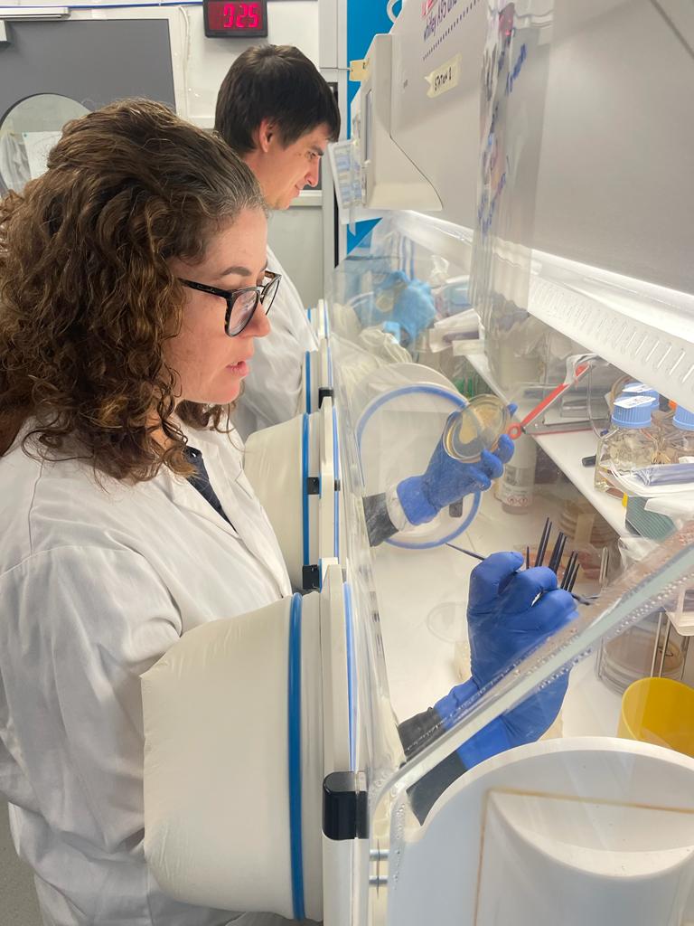 @CentenaryInst @UTSEngage @HMRIAustralia @Gut_BMJ In this photo, the study leader @KurtisBudden and @nadiamorim doing some bacterial isolation at the @CiiiD_Hudson in Melbourne with @_sam_forster_ group.
