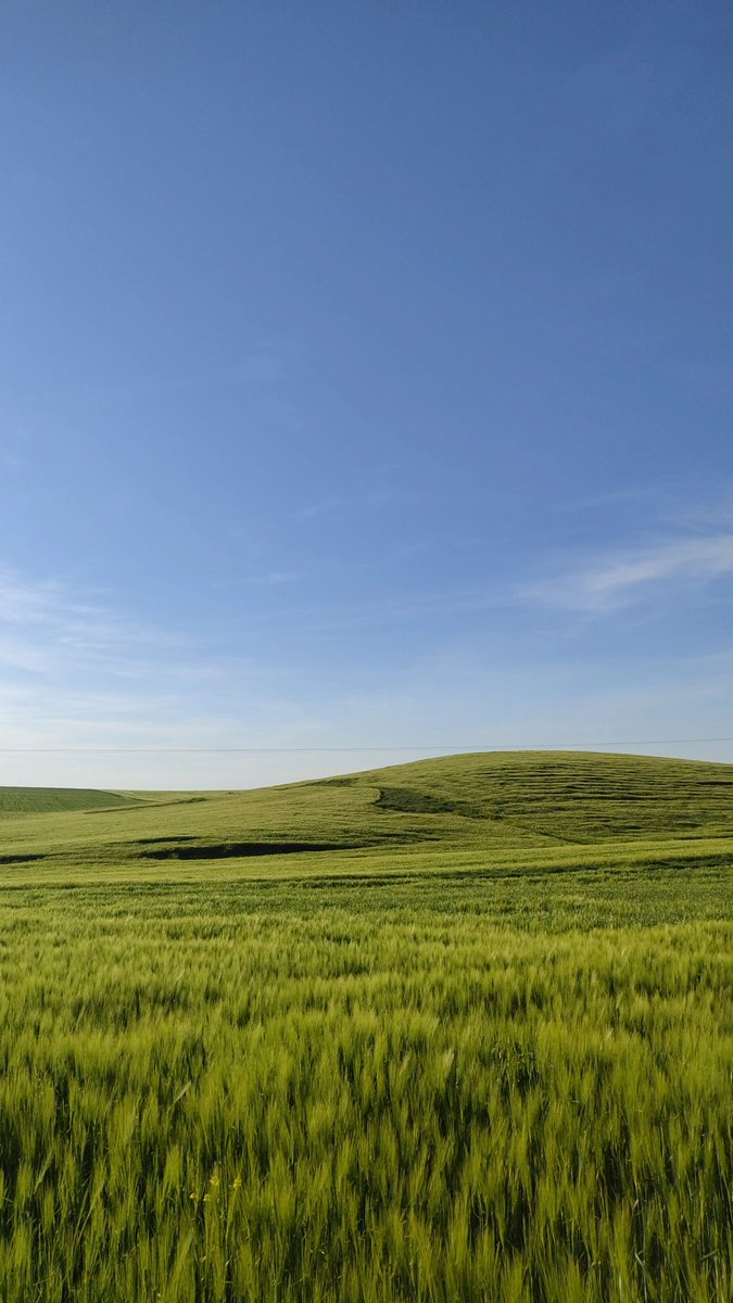 Windows Xp duvar kağıdı olsa beğenirdiniz ama burası Batman😅