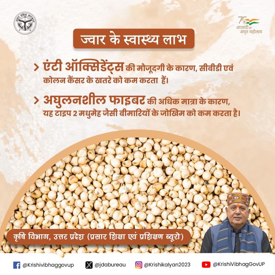 jdabureau's tweet photo. ज्वार स्वास्थ्य का खजाना है। अधिक मात्रा में एंटी ऑक्सीडेंट्स और हाई फाइबर की मौजूदगी होने के कारण यह सीबीडी एवं कोलन कैंसर एवं टाइप 2 मधुमेह जैसी बीमारियों के जोखिम को कम करता है।

@spshahibjp @BaldevAulakh @myogiadityanath #millets #milletsfood #milletsindia #ModiKiGuarantee https://t.co/94IO5XEVcJ