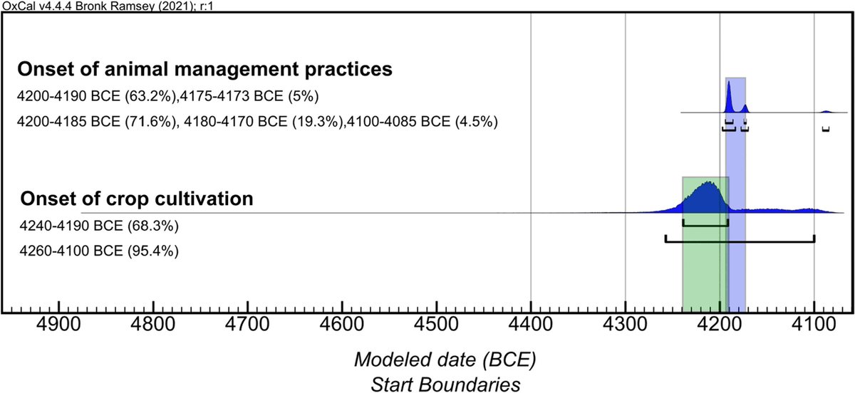 Excited to share our latest results from @14Cjournal! We've successfully traced the onset of crop cultivation and animal husbandry in the Dutch wetlands, narrowing it down from 300 years to just 30 (91% range) using Bayesian modeling! #Swifterbant 🌾🐄 doi.org/10.1017/RDC.20…