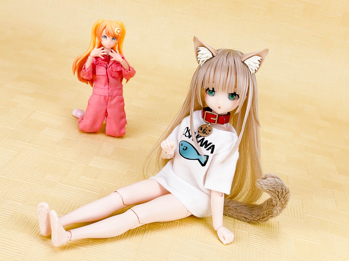 本日は #シーサイドピーチ さまの きなこさんをご紹介しマス