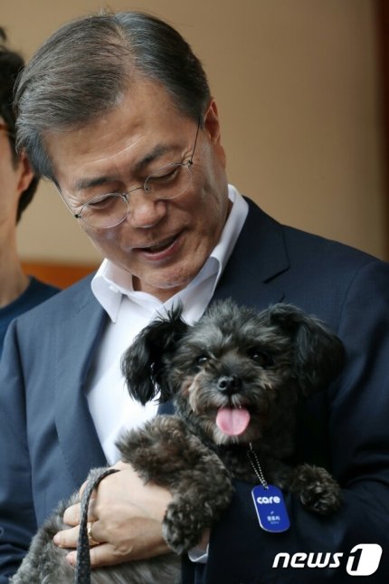 토리야, 잘가!