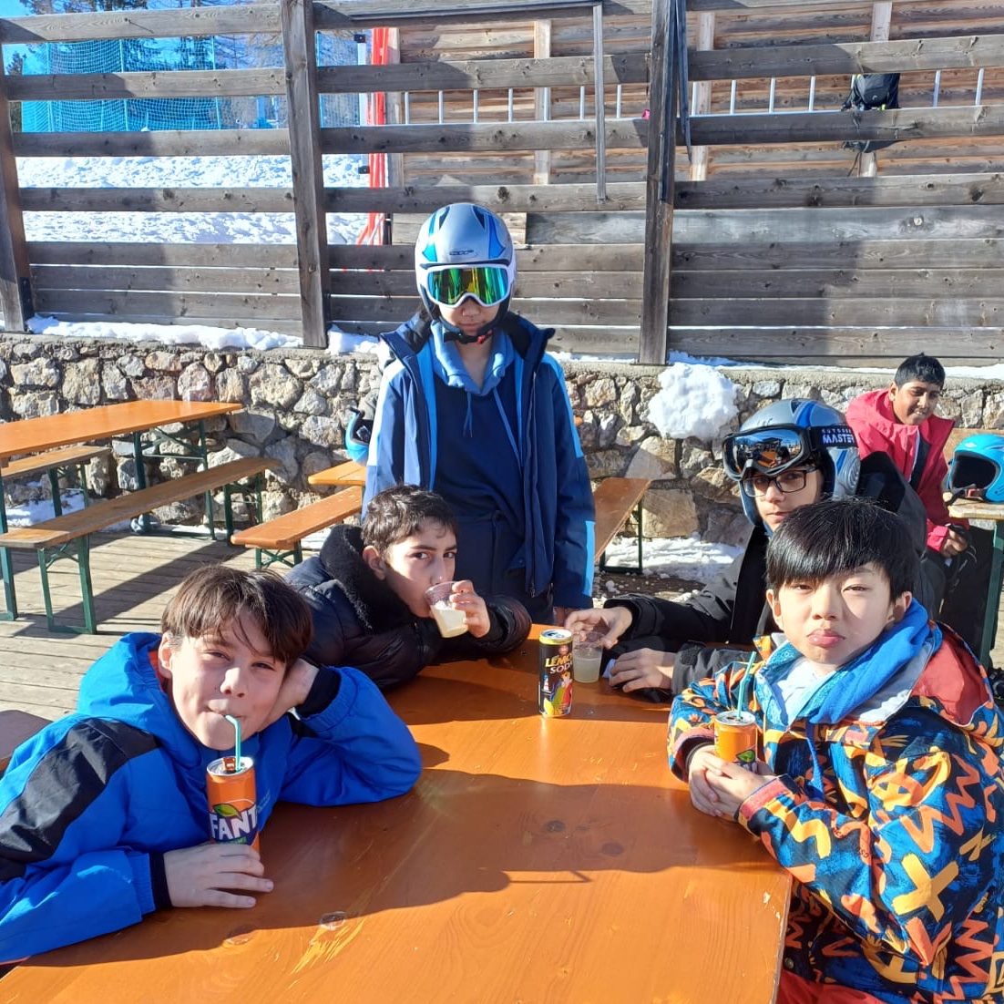 Milbourne Lodge Trips tweet media