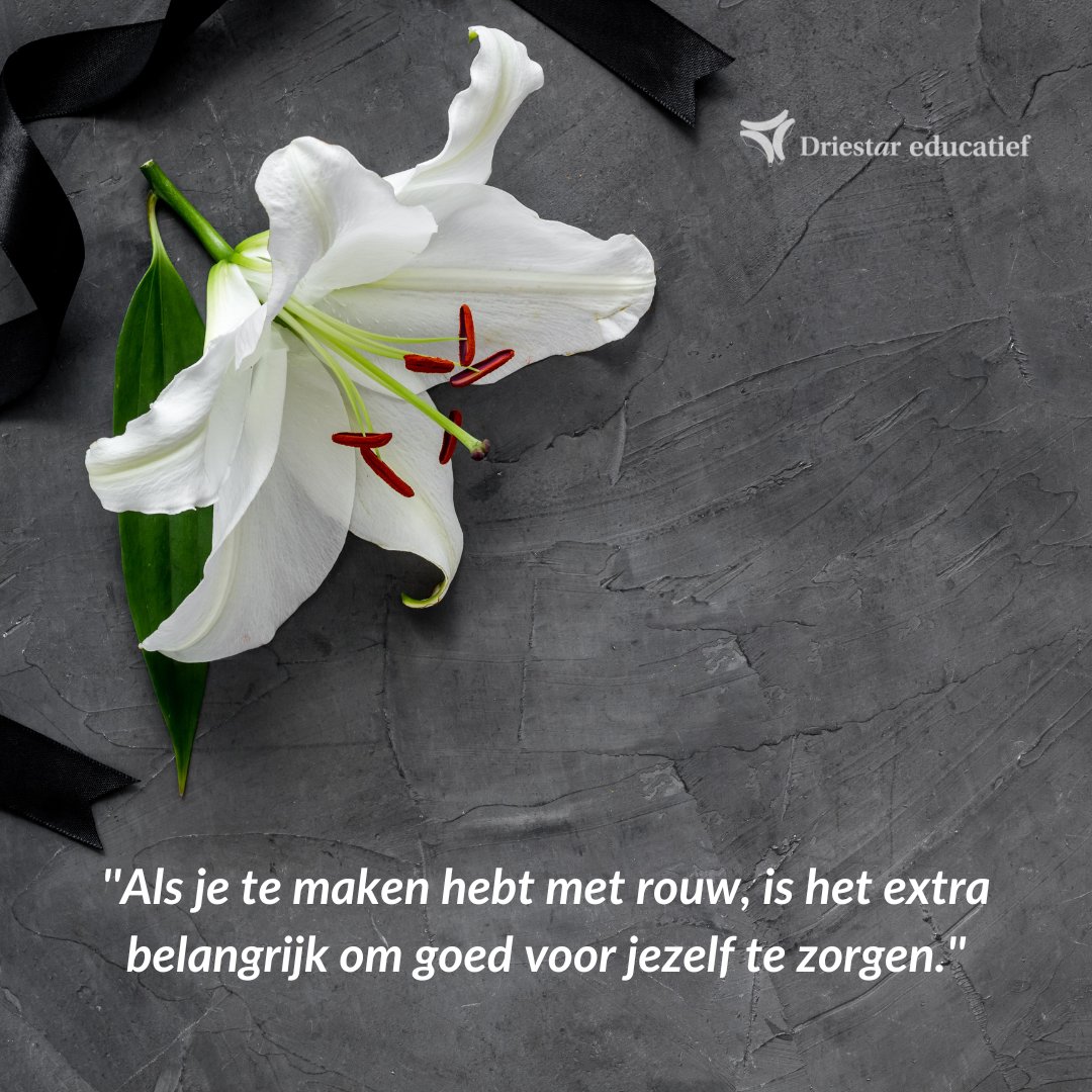 Loïs blogt: Koorddansen

De dood is een ingrijpende gebeurtenis en ook op school krijg je met rouw te maken. Wat kun je als school doen als een leerling een dierbare verliest?

Lees de blog via bit.ly/3SIPxtn.

#rouw #tieners #ondersteunen #verlies #onderwijs