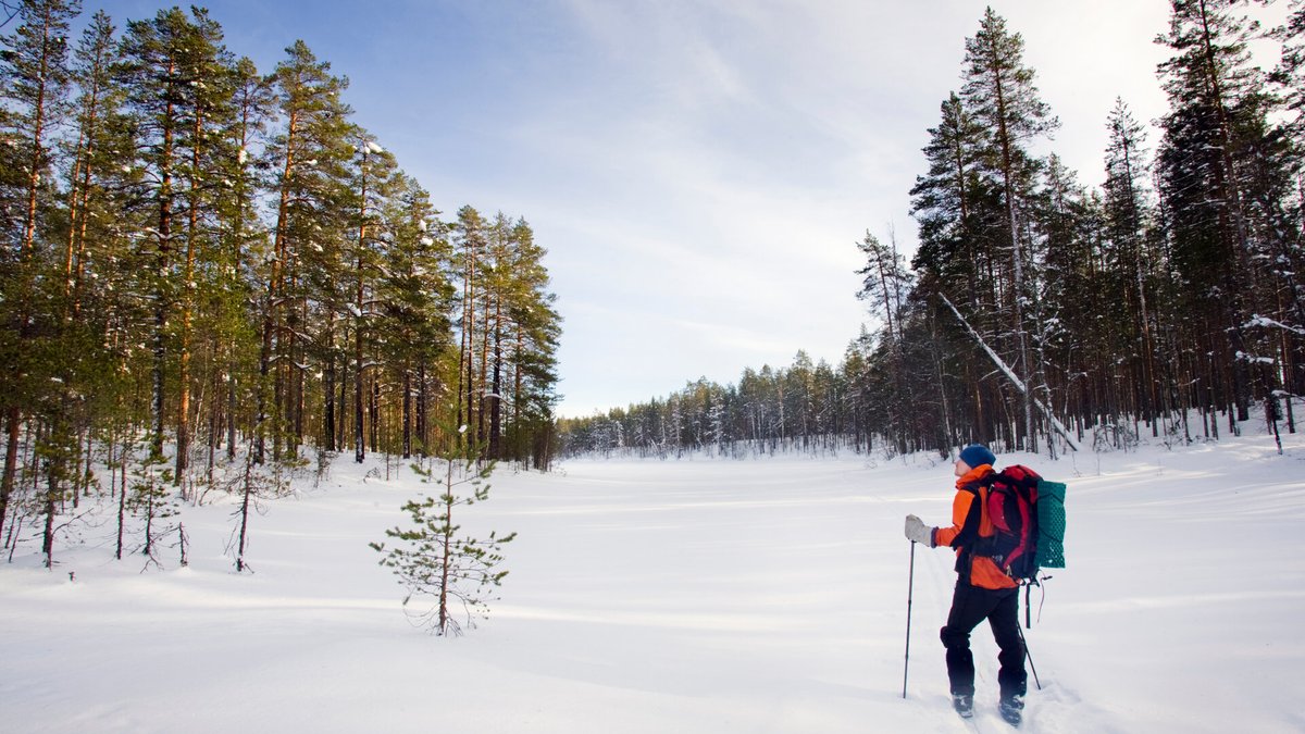 yministerio's tweet photo. Usein kysyttyä ympäristöstä –palvelusta löytyy nyt yli 100 kysymystä ja vastausta jokaisenoikeuksista! 

Usein kysyttyä -kokonaisuus auttaa kaikkia luonnossa liikkujia toimimaan oikeutensa ja velvollisuutensa tuntien. 🌲

👉https://t.co/4yRTfiblCC https://t.co/yLcrepbvYu