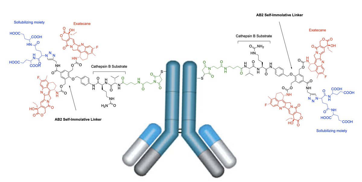 Shabat Group (@shabatgroup) on Twitter photo Self-Immolative Dendrimers are now being applied as a linker technology for ADC. Rewarding collaboration with <a href="/RSFLab/">Ronit Satchi-Fainaro</a> and Merck KGaA:
sciencedirect.com/science/articlโฆ Self-Immolative Dendrimers are now being applied as a linker technology for ADC. Rewarding collaboration with <a href="/RSFLab/">Ronit Satchi-Fainaro</a> and Merck KGaA:
sciencedirect.com/science/articlโฆ