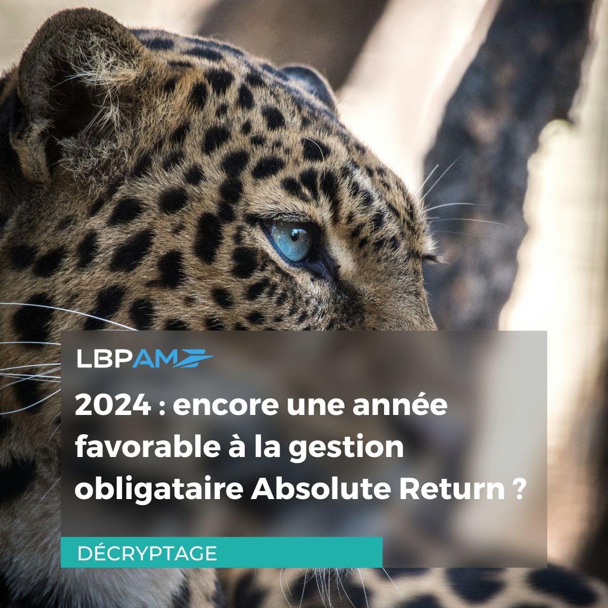 Flash marché : l’Absolute Return en 2024

LBP AM livre ses perspectives pour la gestion obligataire Absolute Return face aux nouveaux défis de 2024 
👉 bit.ly/3uwEv2d 
 
#Asset #Marchés