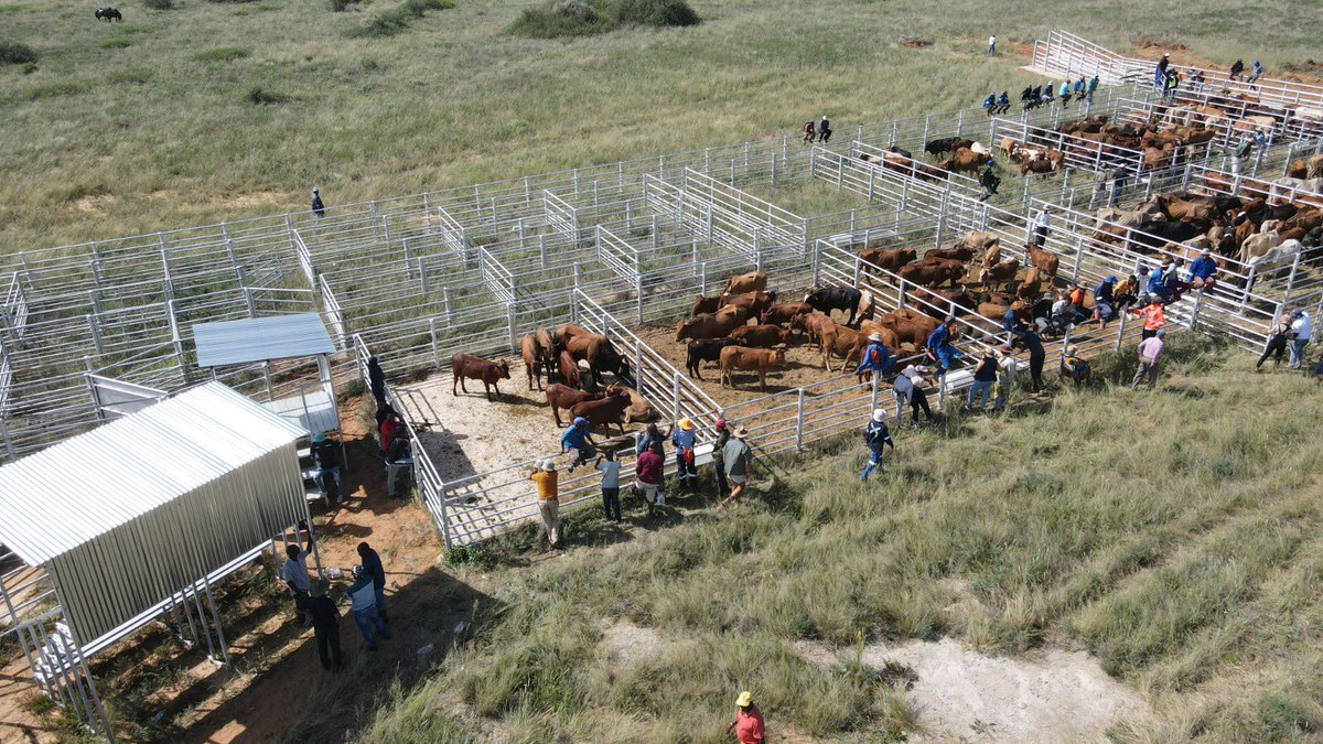 NW Agriculture and Rural Development tweet media