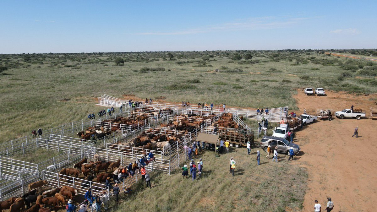 NW Agriculture and Rural Development tweet media