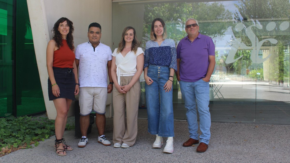SaludISCIII's tweet photo. 🗓️ Hoy es el #DíaInternacionalCáncerInfantil.

📍 El #ISCIII ha reforzado su investigación en cáncer pediátrico raro con un proyecto de terapias avanzadas en sarcoma de Ewing.

📰 Más información en #NoticiasISCIII ➡️ https://t.co/GctSgdrg5q https://t.co/ysRdc0nxOg