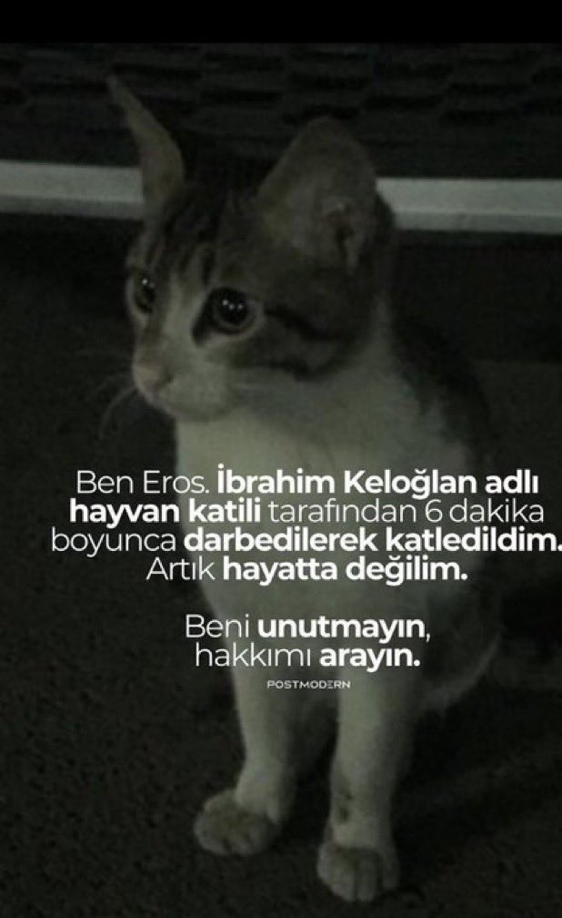 azemeel's tweet photo. #ibrahimkeloğlanTUTUKLANSIN https://t.co/MJ3toSbSBS