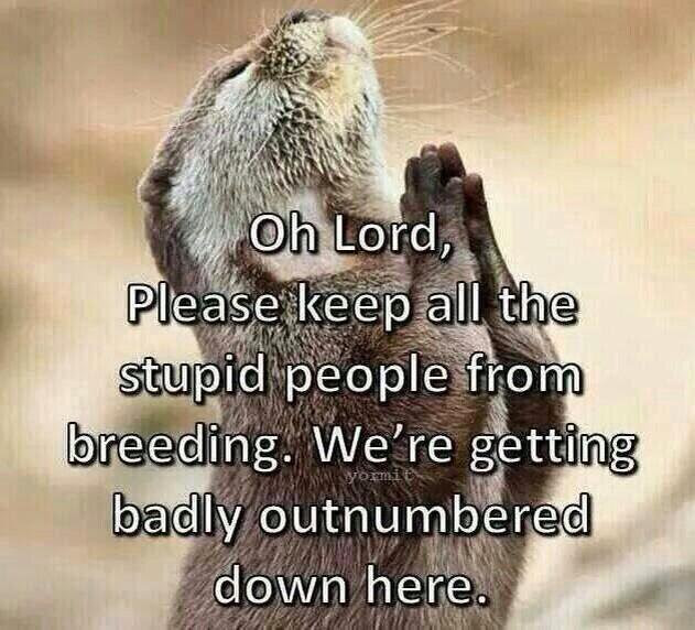 KeithSavage1875's tweet photo. #Texan otter praying for help https://t.co/2YLrlhc98P
